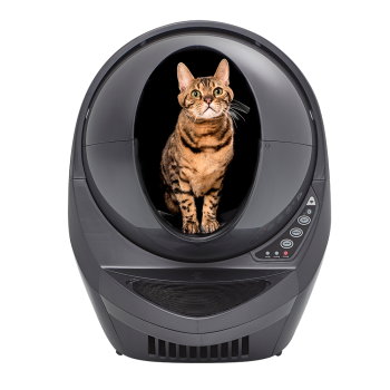 Category Litter-Robot 3 image